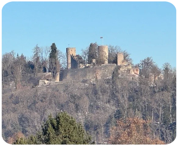 15km vom Duftkeller ist Nagold. Neben der Altstadt mit ihren schönen Fachwerkhäusern lohnt sich auch der Aufstieg zur Burgruine Nagold.