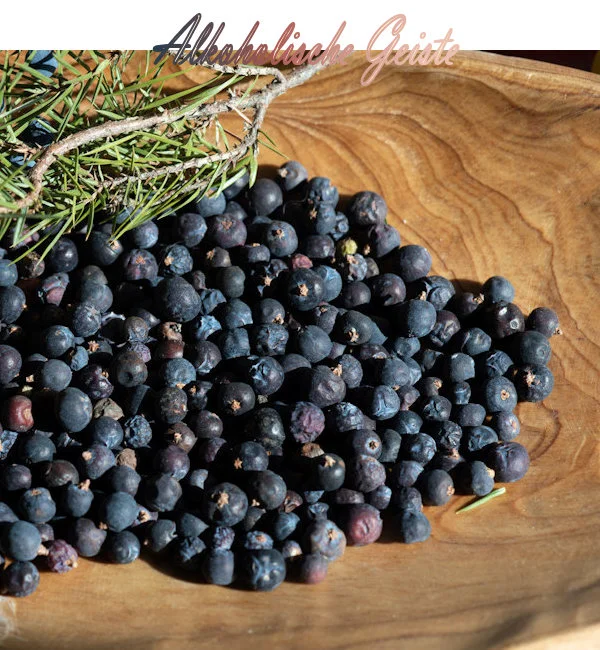 dekoratives Element für die Seminarbuchung "Alkoholiche Geiste". Das Bild zeigt Wacholderbeeren, die auch für Gin verwendet werden.