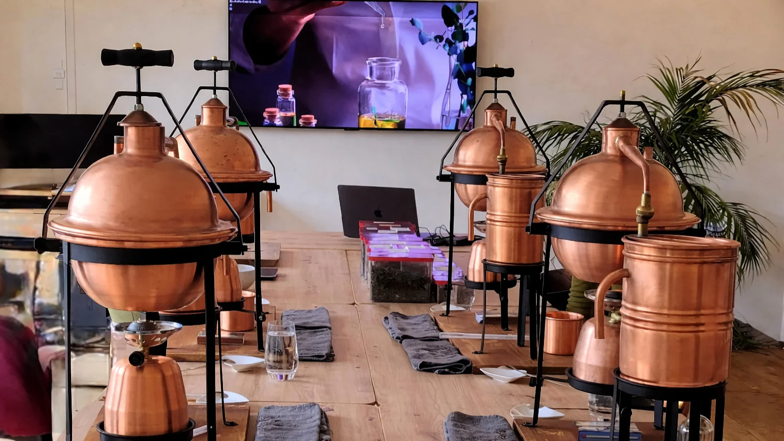 Teilnehmer entdecken die Grundlagen der Destillation und stellen eigene Duft- oder Spirituosenkreationen her.